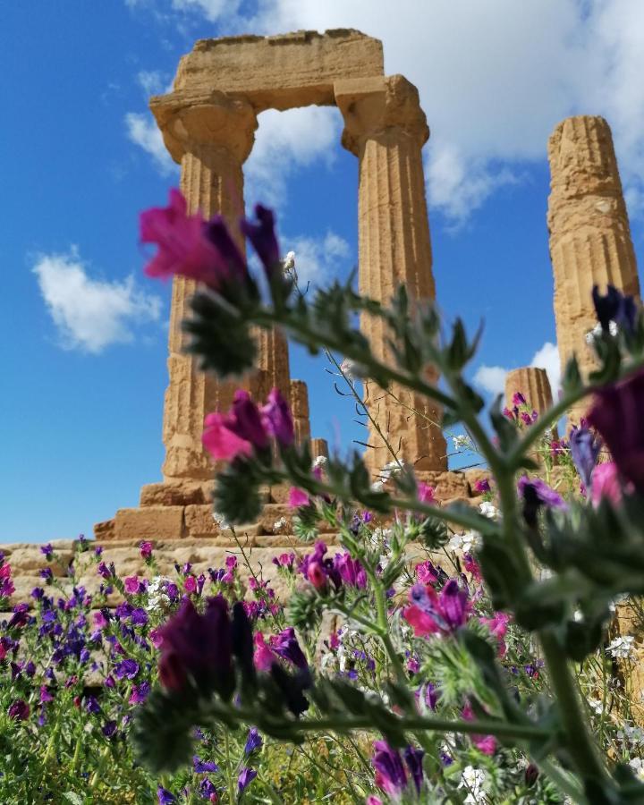 Tesori Di Girgenti Bed & Breakfast Agrigento Eksteriør bilde